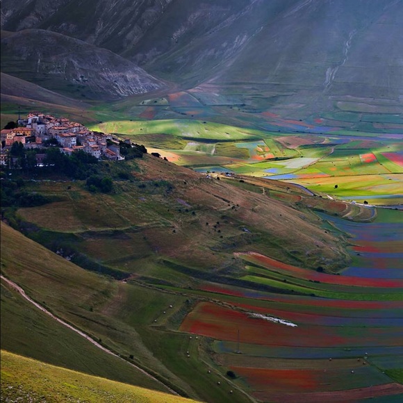 Meet your Posher, Jill - Picture 1 of 1